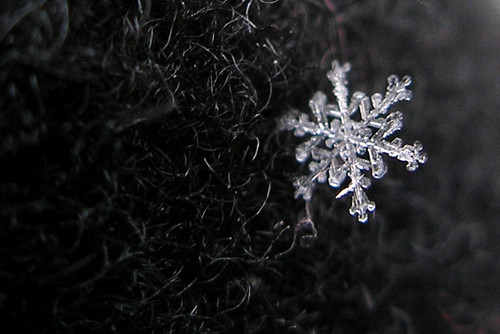 Snowflake by Overduebook is licensed under CC BY-NC 2.0 