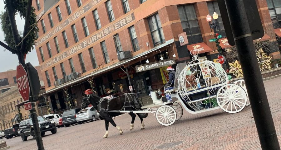Turning around on South 11th Street in the Old Market, Magical Journeys Carriage Service prepares to pull their Cinderella style carriage up to the horse feeding station